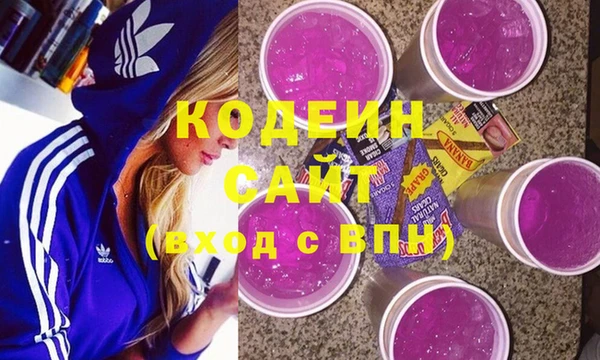 ECSTASY Горняк